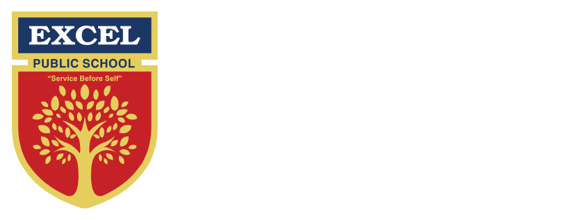 Excel Public School