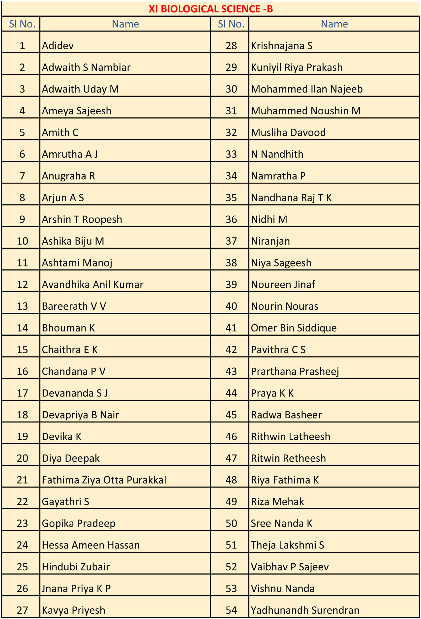 Excel Public School