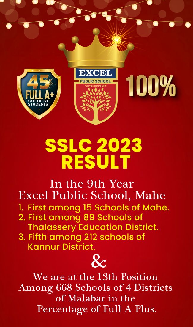 Excel Public School